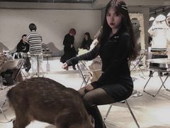 -浣熊柯尔鸭土拨鼠·电玩咖