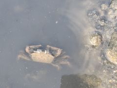 -北海金海湾红树林生态旅游区