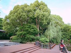 -银都名墅