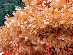 -狼山风景名胜区