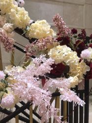 体验前-禾丽康美医疗美容医院
