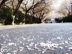 -山东师范大学(千佛山校区)