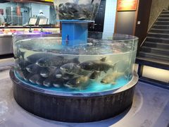 -魏铭鱼头捞饭(晋阳路店)