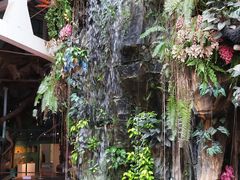 -正佳雨林生态植物园