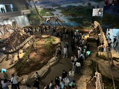 -自贡恐龙博物馆