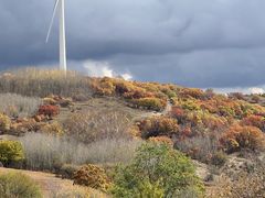 -塞罕坝国家级自然保护区