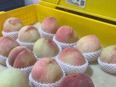 -老袁家蜜桃农场·阳山水蜜桃