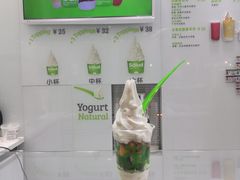 -Salud撒露欧洲冻酸奶(蓝色港湾店)