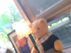 -咖法森林·咖啡  酒吧(天河店)