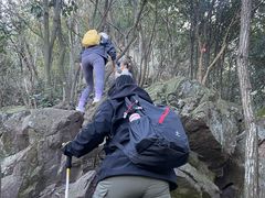-午潮山国家森林公园