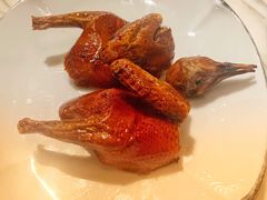 脆皮妙龄鸽-新荣记(新源南路店)