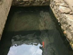 -桃花姐假日酒店·桃花潭土菜馆