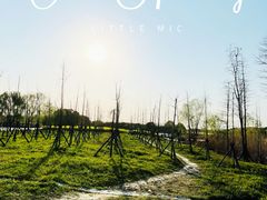 -广富林郊野公园