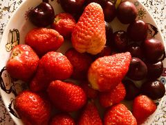 -红星农博物流中心