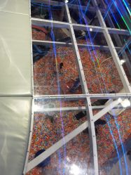-龙小湖探索乐园 Little Hoo Galaxy(龙湖重庆金沙天街店)