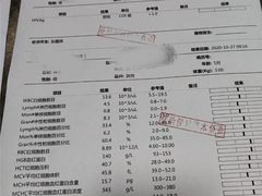 -绿色亿家除甲醛机构