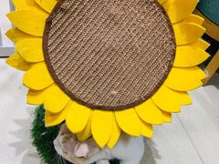 -藏猫猫咖啡主题馆(中央大道店)