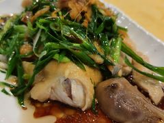 招牌葱油鸡-粤·向群饭店(泮塘路店)