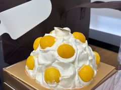 -布歌东京(合生汇店)