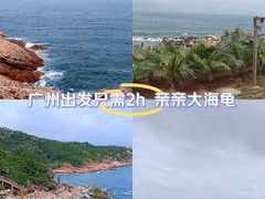 -广东惠东海龟国家级自然保护区