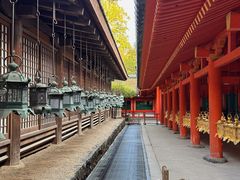 -奈良公园