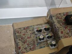 -北京歌华开元大酒店