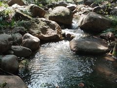 -新洲生态园