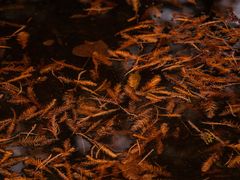 -南京市无想山景区