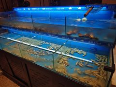 -太湖饭店玉兰厅(自助餐厅)