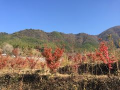 -塔川景区