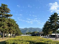 -陕西历史博物馆