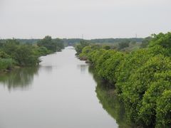 -大湾区中央湿地公园