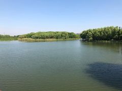 -昆山城市生态森林公园