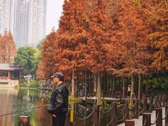-重庆彩云湖湿地公园