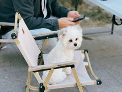 -小意思咖啡店(草桥店)