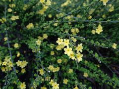 -苏州河梦清园环保主题公园