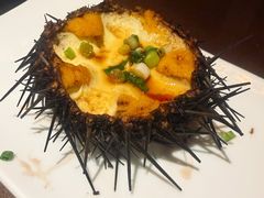 蛋蒸海胆-福来齐·鲁菜海鲜·渔家菜(朝阳街分店)