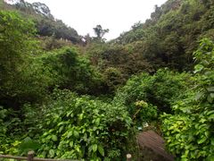 -海口火山口国家地质公园
