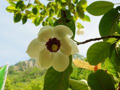 -丹东天桥沟景区