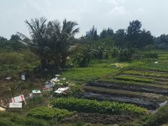 -海恋园海鲜餐馆