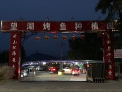 -望湖烤鱼