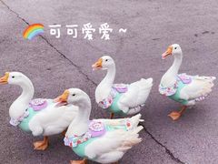 -乐和乐都主题乐园
