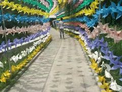 -崆山白云洞