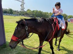 -武汉紫薇都市田园