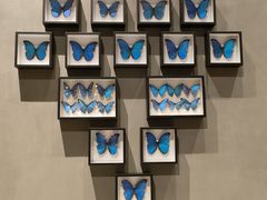 -爱啤精酿·民谣酒馆(滨江店)