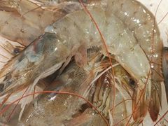 -千滋百味自助海鲜烤肉(布吉景华店)