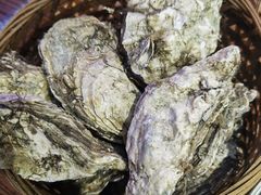 -蚝堡海鲜·威海菜·海肠捞饭·烧烤·亚洲吃蚝公司(幸福门店)