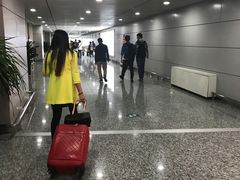 -张家界荷花国际机场