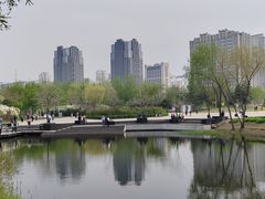 -群力丁香公园