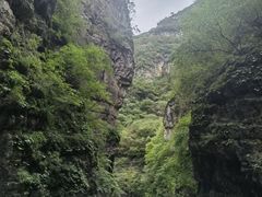 -俺家菜馆(百里峡店)